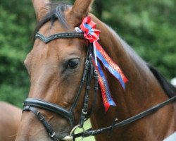 broodmare Helena CH (Swiss Warmblood, 1995, from Apartos)