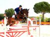 jumper Contenza K (Hanoverian, 2008, from Carenzo)