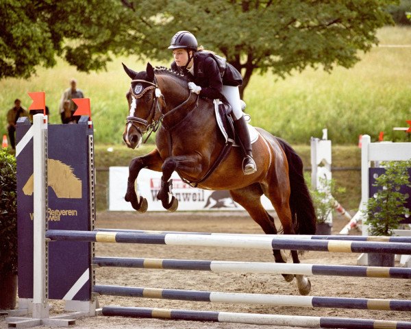 dressage horse Landjuwel 9 (Hanoverian, 1997, from Landjonker (Fruhling))