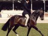 Deckhengst Rotherwood Acrobat (British Riding Pony, 1977, von Solway North Wind)