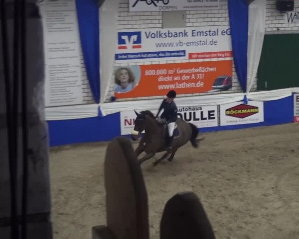 Spring-Pferde-Festival Lathen 2017