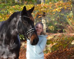 dressage horse Easy Feeling (Westphalian, 2011, from Ehrenpreis)