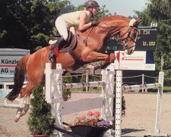 Zuchtstute Aquila B CH (Schweizer Warmblut, 2004, von Aqua Minerale KZI)