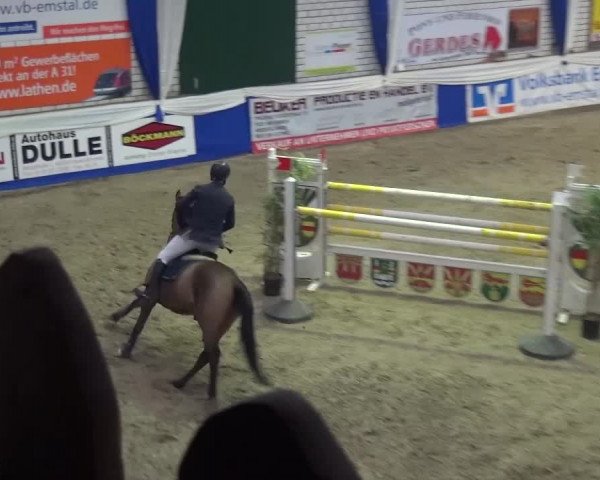 Spring-Pferde-Festival Lathen 2017