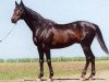 stallion Gabion xx (Thoroughbred,  , from Aden xx)