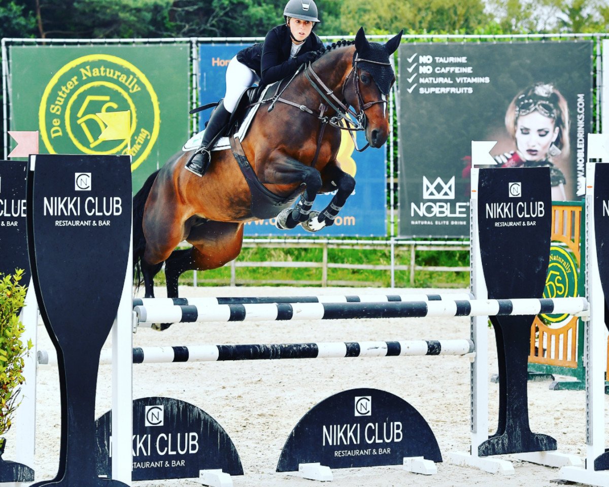 jumper Just Call Me May (anglo european sporthorse, 2013, from Unex Barrichello)
