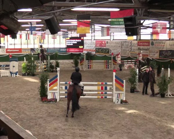 Keppelner Springfestival 2017 - Reitanlage "Hötzenhof"