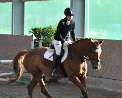 dressage horse Fürstin 39 (Westphalian, 2002, from Fürst Piccolo)