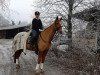 dressage horse Rudi-Royal (Hanoverian, 2003, from Rubin Royal OLD)