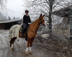 dressage horse Rudi-Royal (Hanoverian, 2003, from Rubin Royal OLD)