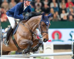 jumper Jack Daniels (Belgian Warmblood, 2009, from Nabab de Rêve)