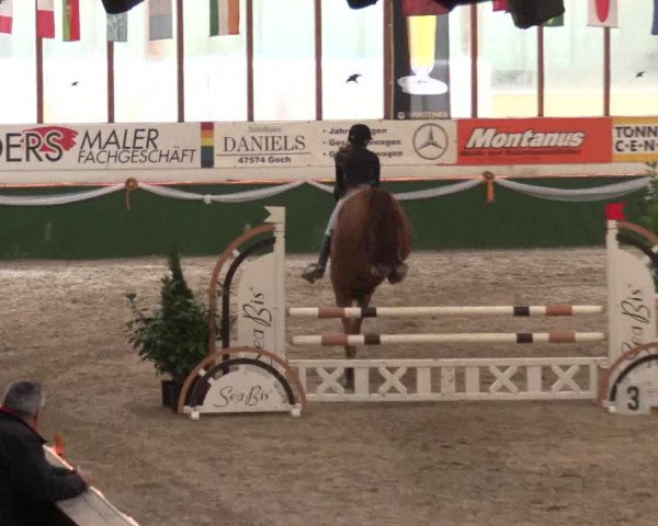 Keppelner Springfestival 2017 - Reitanlage "Hötzenhof"