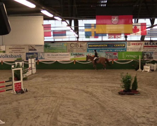 Keppelner Springfestival 2017 - Reitanlage "Hötzenhof"