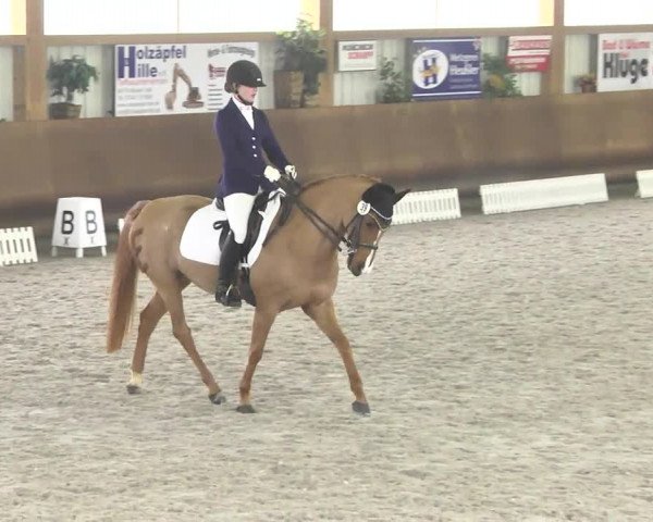 Reitturnier Dettingen 2017 Dressur Late Entry