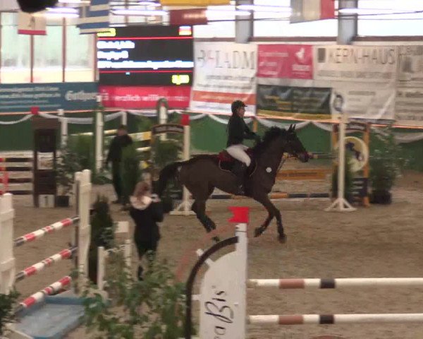 Keppelner Springfestival 2017 - Reitanlage "Hötzenhof"
