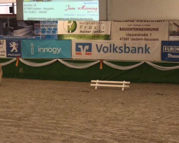 Keppelner Springfestival 2017 - Reitanlage "Hötzenhof"