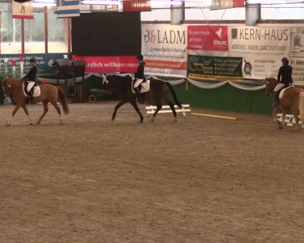 Keppelner Springfestival 2017 - Reitanlage "Hötzenhof"