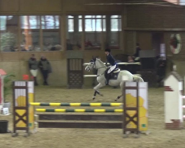 Reitturnier Köln-Leverkusen 2017