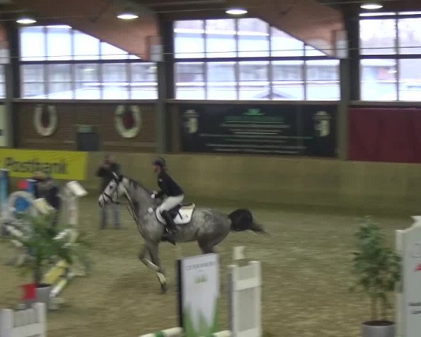 Reitturnier Köln-Leverkusen 2017