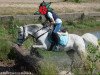 dressage horse Waterkant's Olivia (Welsh-Pony (Section B), 2003, from Paddock Orion)