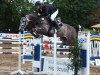 jumper Cafe Latte (Oldenburg show jumper, 2013, from Cafe au lait 2)