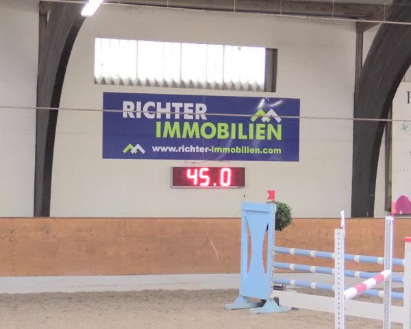 Reitturnier Viernheim 2017