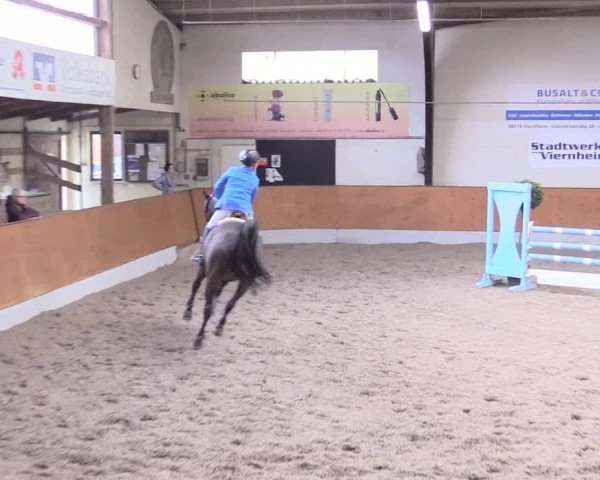 Reitturnier Viernheim 2017