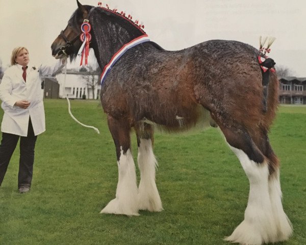 Pferd Rock (Clydesdale, 2008, von Millisle Solway Bay)