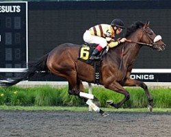 broodmare Enchanting Lisa xx (Thoroughbred, 2010, from War Chant xx)