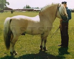 stallion Eddi 33 SWE (Fjord Horse, 1966, from Eik 15 SWE)