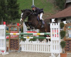 jumper Beach Paradise CH (Swiss Warmblood, 2005, from Piaster van de Mespel)