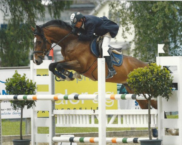 Springpferd Beach Lover CH (Schweizer Warmblut, 2008, von Lady Lover R)