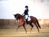 dressage horse Quadroneur's Valentina (German Sport Horse, 2012, from Quadroneur)