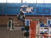 Springpferd High Five 11 (KWPN (Niederländisches Warmblut), 2012, von Zirocco Blue)