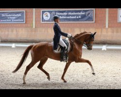 dressage horse Dancing Soulmate (KWPN (Royal Dutch Sporthorse), 2012, from Jazz)