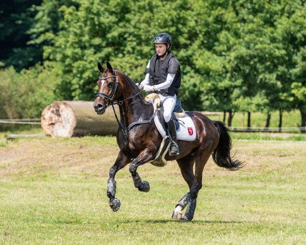 broodmare Maybe 104 (German Riding Pony, 2007, from Montreal)