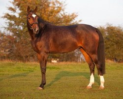 broodmare Lavinnia (Rhinelander, 2004, from Lanio)