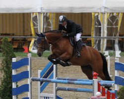 horse Cosima CE (Oldenburg show jumper, 2003, from Caretello B)