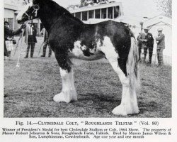 stallion Roughlands Telstar (Clydesdale, 1963, from Balwill Print)