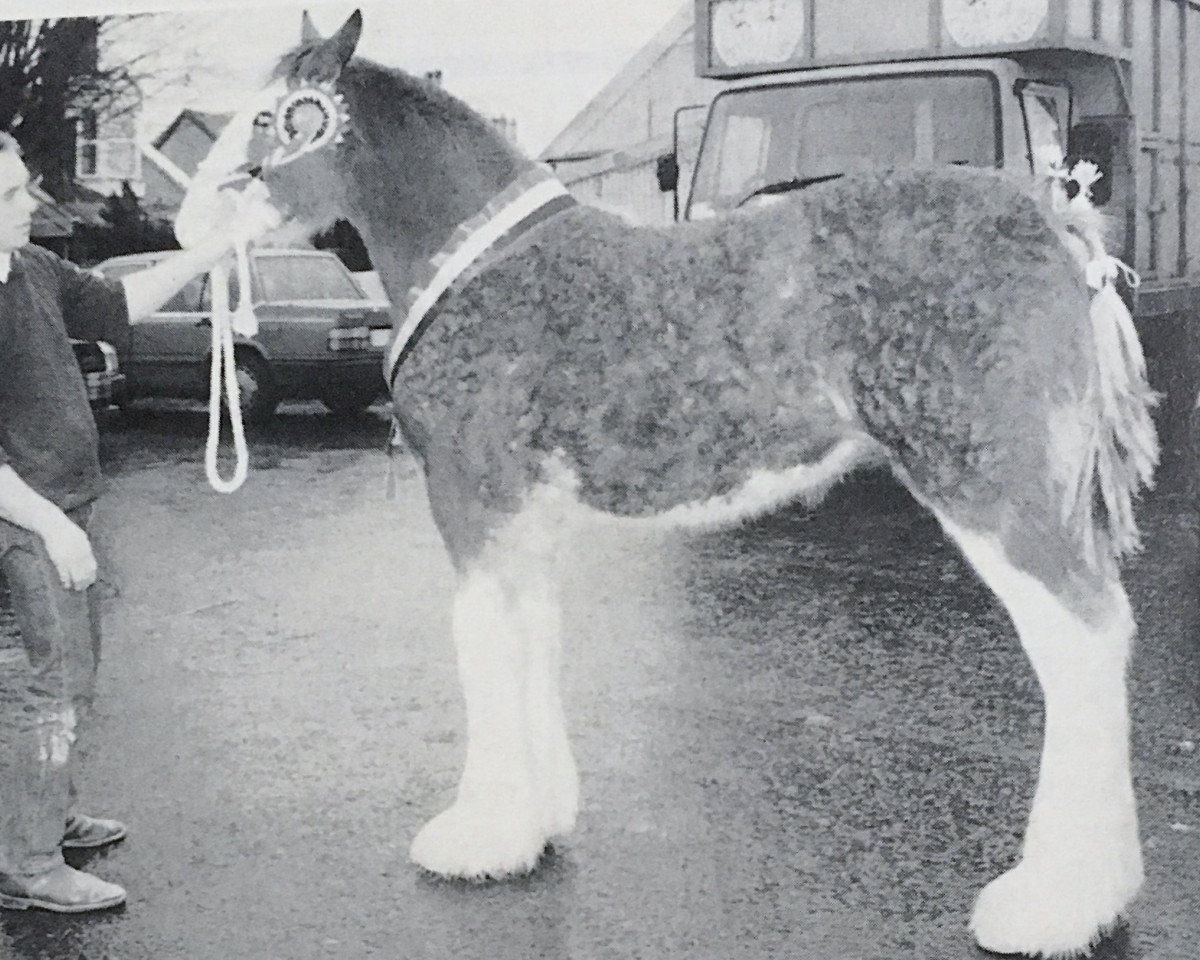 broodmare Easter Littleward Lucinda (Clydesdale, 1996, from Collessie Cut Above)