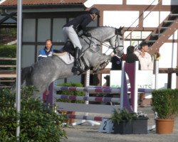 jumper Crespo 24 (Oldenburg show jumper, 2013, from Calido I)