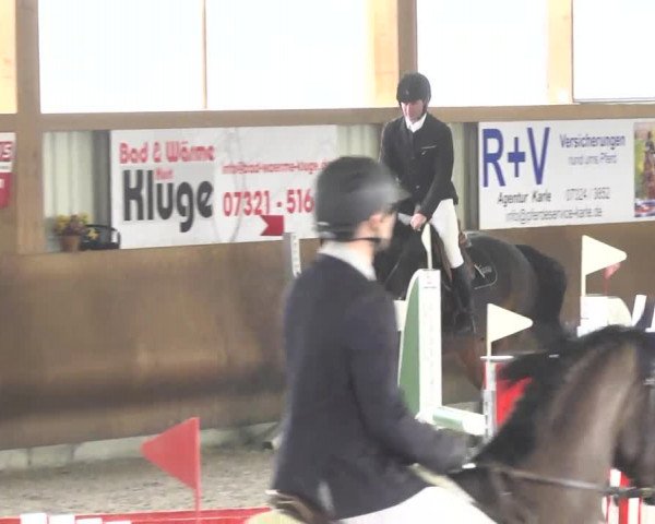 Reitturnier Dettingen 2017