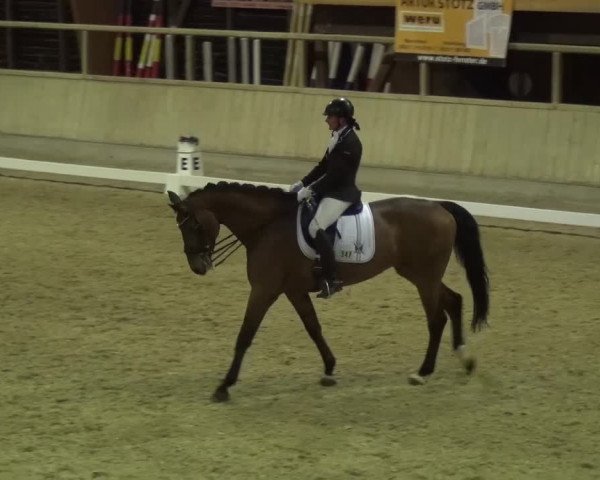 Reitturnier Heidelberg-Kirchheim 2017