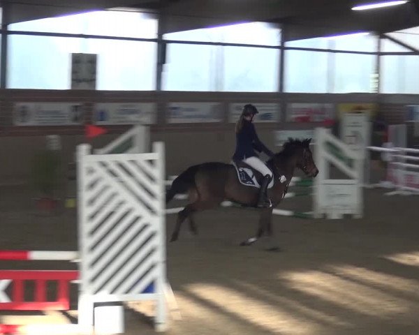 Reitturnier Lembeck 2017