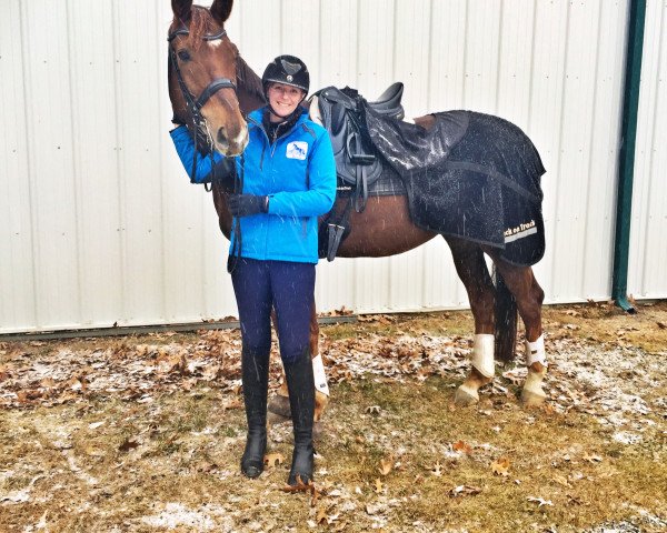 dressage horse Dear Friend (Westphalian, 2008, from Dancing Dynamite)