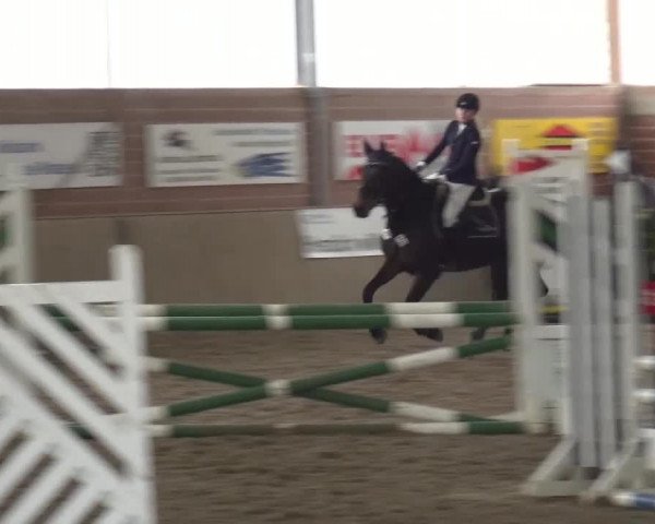 Reitturnier Lembeck 2017