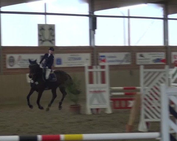 Reitturnier Lembeck 2017