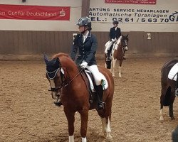 dressage horse Barbarossa ES (German Riding Pony, 2009, from Cobold Es)