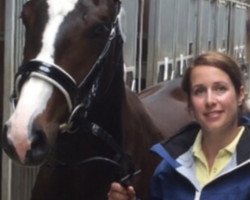 dressage horse Frieda Freitagskind (Hanoverian, 2013, from Freddie Mercury 2)