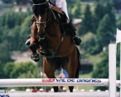 broodmare Quirella du Perchet CH (Swiss Warmblood, 1993, from Quater)